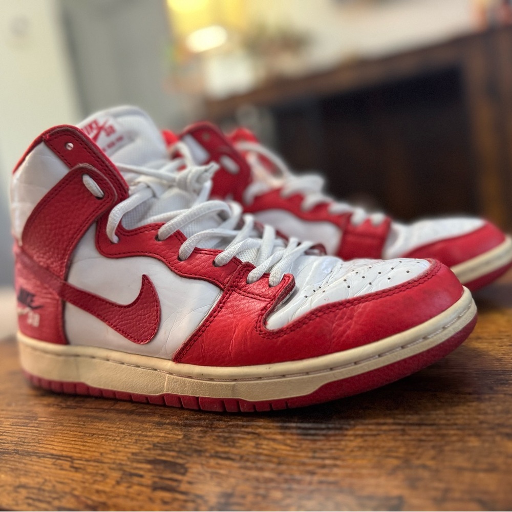 Nike Dunk SB Pro